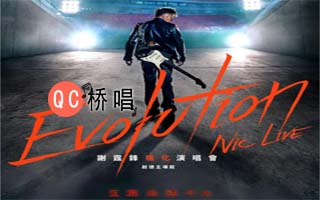 2025谢霆锋演唱会全集MP3