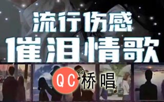 2024情歌火爆歌曲